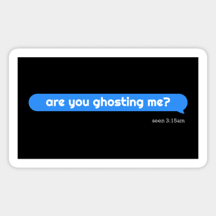 Amityville text message Magnet